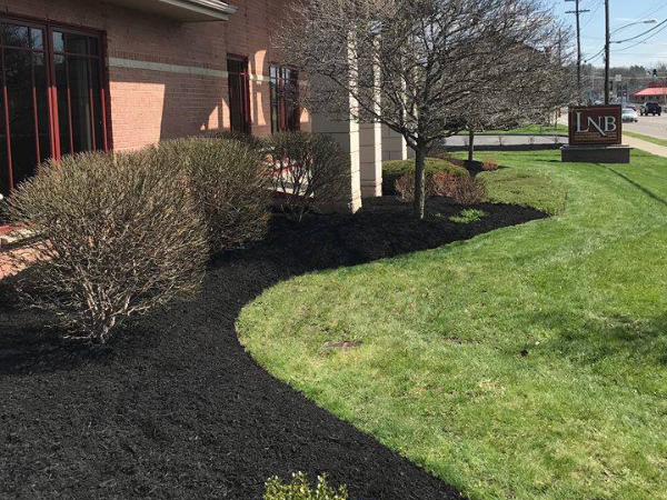 Commercial property landscaping with neatly edged mulch beds, trimmed shrubs, and a small tree along a building near a roadside sign in Penn Yan, NY.